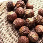 Reetha Herb (रीठा)