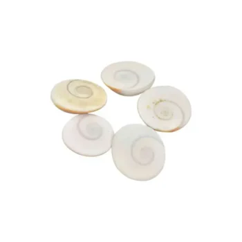 Gomti Chakra, गोमती चक्र