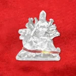 Parad Durga (पारद दुर्गा)