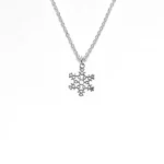 Hollow Star Lucky Charm (तारा लकी चार्म)