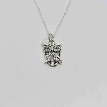 Owl Lucky Charm Pendant (उल्लू चार्म लॉकेट)