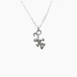 Salamander Charm Pendant (छिपकली चार्म लॉकेट)