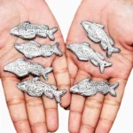 Lead Fish (रांगा मछली)