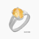 Siddh Sunela Mudrika (सिद्ध सुनेहला मुद्रिका)