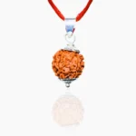 4 Mukhi Rudraksha Pendant, 4 मुखी कवच