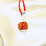 4 Mukhi Rudraksha Pendant, 4 मुखी कवच