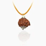 Ganesh Rudraksha Pendant, गणेश रुद्राक्ष पेंडेंट