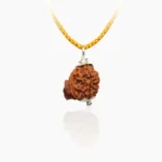 Ganesh Rudraksha Pendant, गणेश रुद्राक्ष पेंडेंट