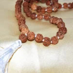 Panch-Mukhi Rudraksha Mala (5 मुखी रुद्राक्ष माला)