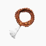 Panch-Mukhi Rudraksha Mala (5 मुखी रुद्राक्ष माला)