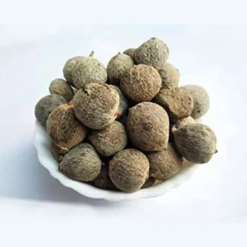 Gular Fal (गुलर फल)