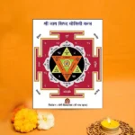 Nath Siddh Yogini Yantra, Shree Nath Yogini Yantra, Nath Yogini Puja Yantra