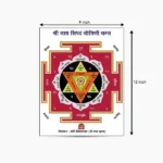 Nath Siddh Yogini Yantra, Shree Nath Yogini Yantra, Nath Yogini Puja Yantra
