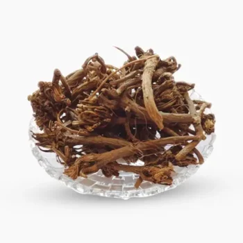 Pashanbhed Root (पाशंभेद जड़)