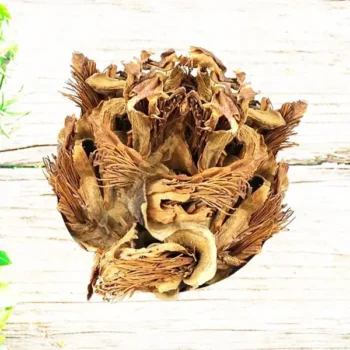 Semal Flower(सेमल फूल)