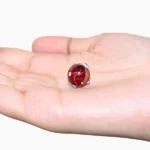 Kamala Gutika, कमला गुटिका