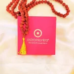 Rudraksha Beads Mala (रुद्राक्ष माला)