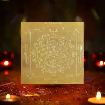 Shree Vishnu Yantra, Vishnu Puja Yantram