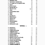 Hath Yoga Pradipika Book (हाथ योग प्रदीपिका पुस्तक)