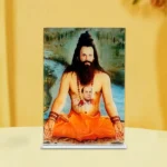 Nikhil Gurudev Frame (निखिल गुरुदेव चित्र)