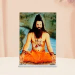 Nikhil Gurudev Frame (निखिल गुरुदेव चित्र)