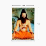 Nikhil Gurudev Frame (निखिल गुरुदेव चित्र)