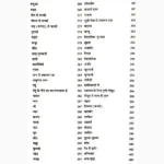 Nitya Puja Sandhya Book (नित्य पूजा संध्या पुस्तक)