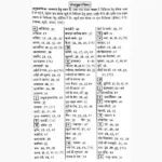 Gajar Muli-Tamatar Book (गाजर मूली और टमाटर)