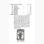 Hindu Tantra Shastra Book (हिन्दू तन्त्र शास्त्र पुस्तक)