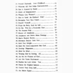 Look Beyond Veil Book