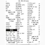 Neem Peepal Aur Bargad Book (नीम पीपल और बरगद पुस्तक)
