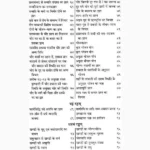 Ramalnavrangam Book (रमलनवरंगम)