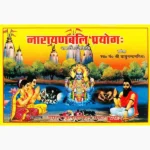 Narayan Bali Prayog Book (नारायण बलि प्रयोग पुस्तक)
