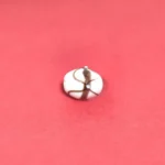 Shukra Gutika, शुक्र गुटिका