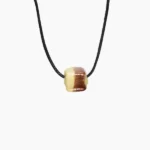 Siddhashram Gutika (सिद्धाश्रम गुटिका)