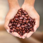 Imli Ke Beej (इमली के बीज)