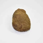 Puja Ekakshi Nariyal (एकाक्षी नारियल)