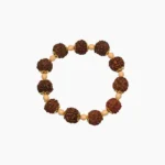 Golden Rudraksha Moti Bracelet, Rudraksha Bracelet, Rudraksha Beads Bracelet, रुद्राक्ष ब्रेसलेट