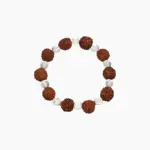 Sphatik Bead Rudraksha Bracelet, Rudraksha Bead Crystal Bracelet, Rudraksha Sphatik Bracelet, रुद्राक्ष स्फटिक ब्रेसलेट