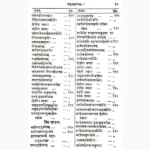 Rasendrapuran Book (रसेन्द्रपुराण पुस्तक)