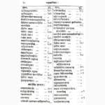 Rasendrapuran Book (रसेन्द्रपुराण पुस्तक)