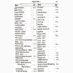Rasendrapuran Book (रसेन्द्रपुराण पुस्तक)