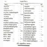 Rasendrapuran Book (रसेन्द्रपुराण पुस्तक)