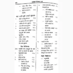 Svdeshi Chikitsa Saar Book (स्वदेशी चिकित्सा सार पुस्तक)