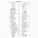 Svdeshi Chikitsa Saar Book (स्वदेशी चिकित्सा सार पुस्तक)