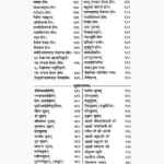 Brhamakarm Saprya Book (ब्रहमकर्म सपर्या पुस्तक)