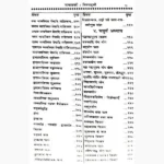 Janampatra Mansaagri Book (जनमपत्र मानसागरी)