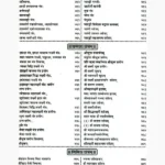 Navdurga Rahasya Book (नवदुर्गा रहस्य पुस्तक)