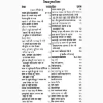 Prachin Ravan Sanhita Book (प्राचीन रावण संहिता पुस्तक)