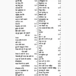 Rasraj Mahodadhi Book (रसराज महोदधि पुस्तक)